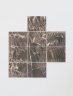 Dicksonia antarctica, Soft tree fern, 2016 - A set of 9 lumen prints, unique silver gelatin, 8x10